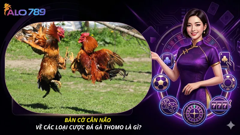 Bàn cờ cân não về các loại cược đá gà Thomo