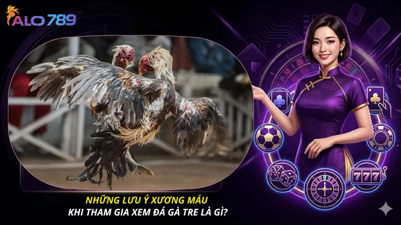 Những lưu ý xương máu khi tham gia xem đá gà tre
