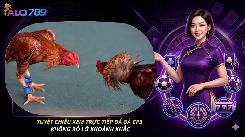 Tuyệt chiêu xem trực tiếp đá gà CP3 không bỏ lỡ khoảnh khắc